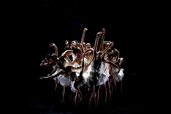 Ballet Preljocaj – Swan Lake - Queensland Performing Arts Centre (QPAC)